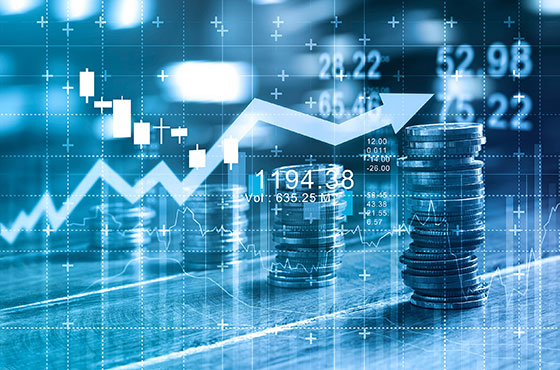 LOAN MANAGEMENT SOLUTION